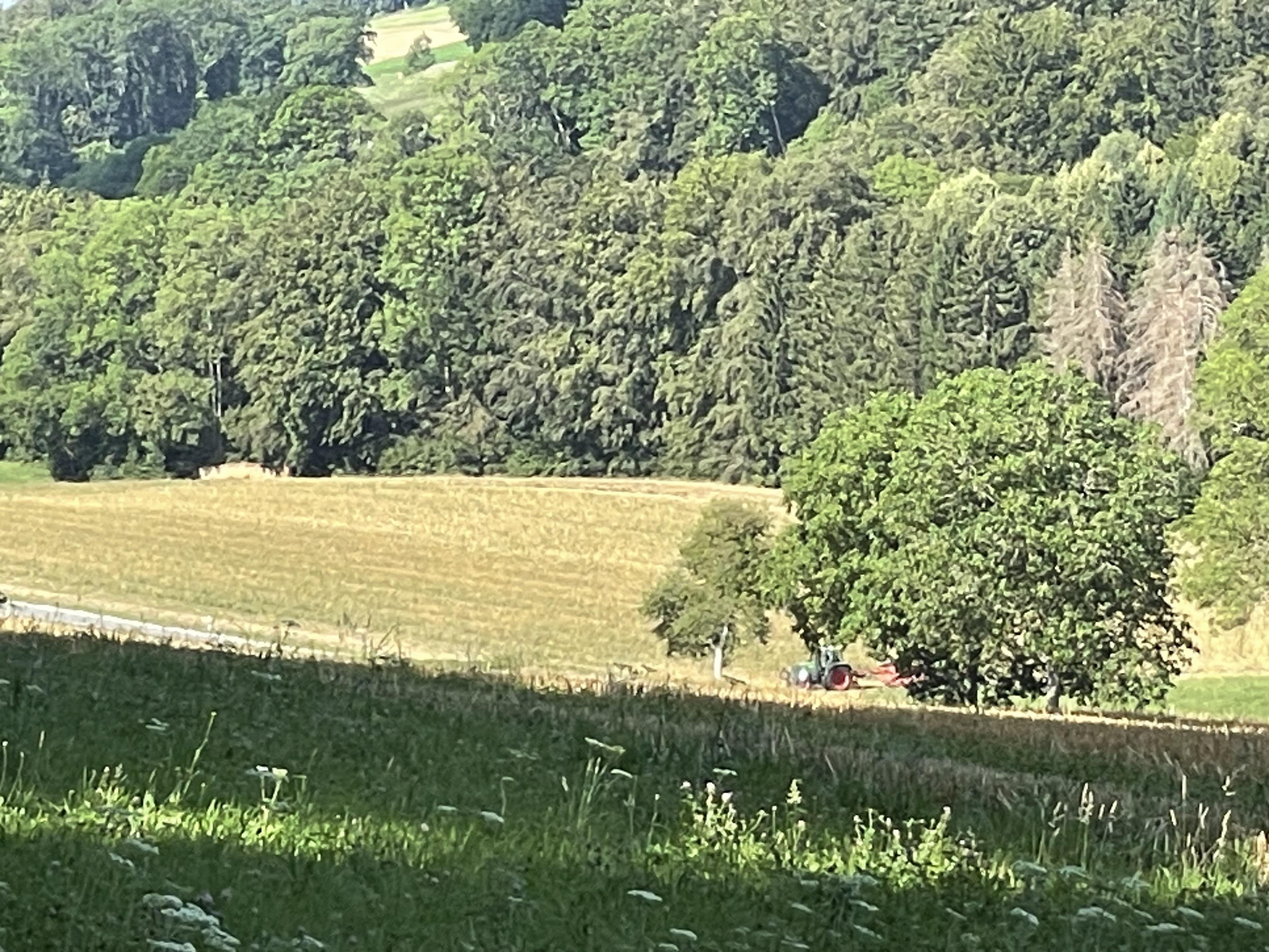 Domaine agricole à vendre - Image# 4