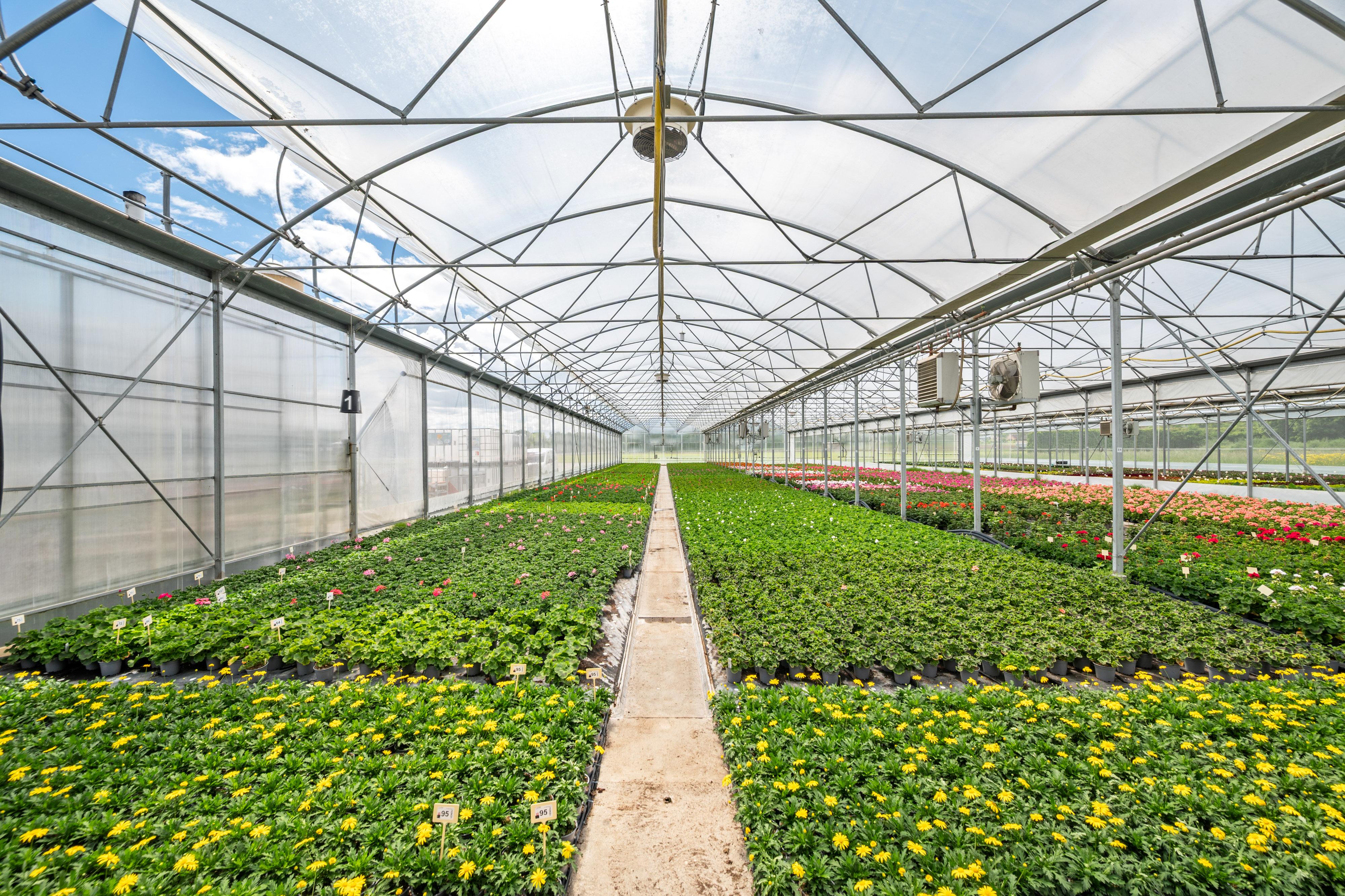 Verkauf eines führenden Gartenbaubetriebs in der Westschweiz - Image# 8
